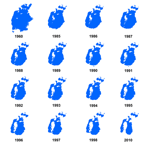 Fig. 2 - Evoluzione dell'Aral dal 1960 al 2010