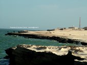 Nouadhibou, Penisola di Cap Blanc