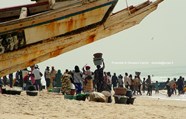 Nouakchott, Port de Pèche