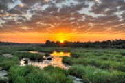 Parco Nazionale Kruger