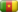 bandiera Camerun