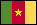 Cameroon flag