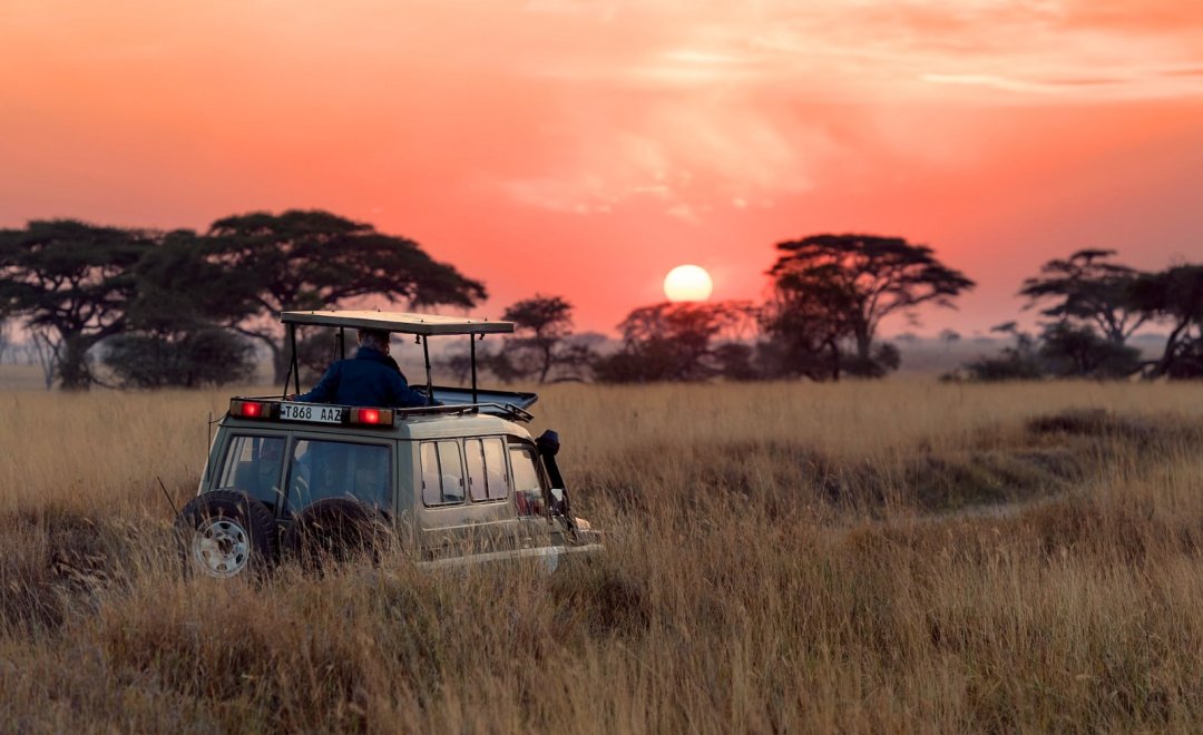 Safari al tramonto