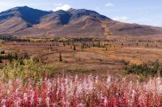 Tombstone Territorial Park