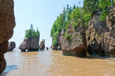 Baia di Fundy, Hopewell Rocks