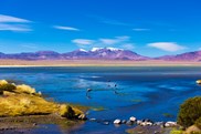 Deserto dell'Atacama