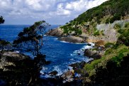 Yakushima