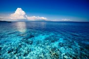Bunaken