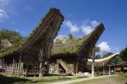 Sulawesi, Case Toraja