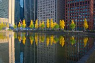 Tokyo in autunno