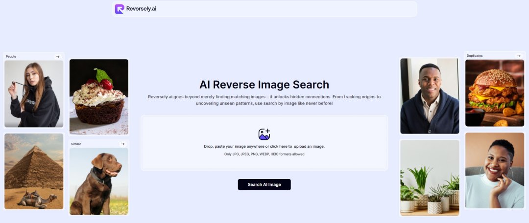 Reversely.ai Screenshot