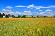 Paesaggio nel Burgenland