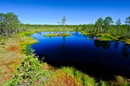 Viru Bog, Lago