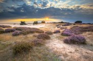 Parco Nazionale De Hoge Veluwe