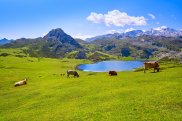 Lake Ercina, Asturias