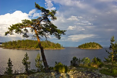 Detail of the Ladoga lake