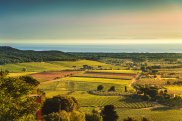 Bolgheri, Maremma