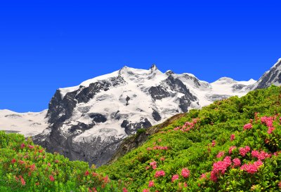 Il Monte Rosa in primavera