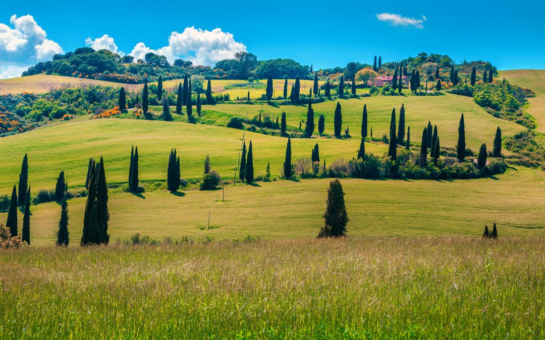 Paesaggio collinare in Toscana