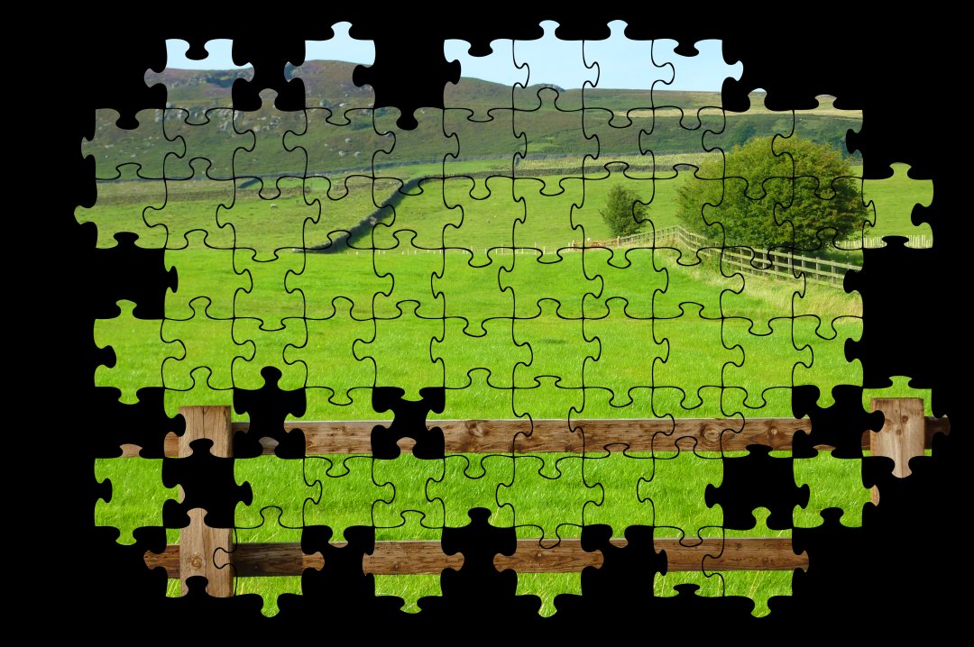 Dettaglio di un puzzle online