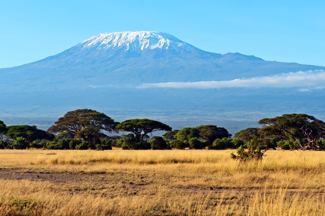 Il Kilimangiaro visto dalle savane sottostanti