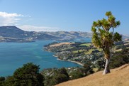 Otago Peninsula