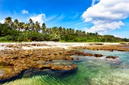 Isola di Tanna