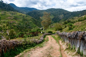 Paesaggio in Nuova Guinea